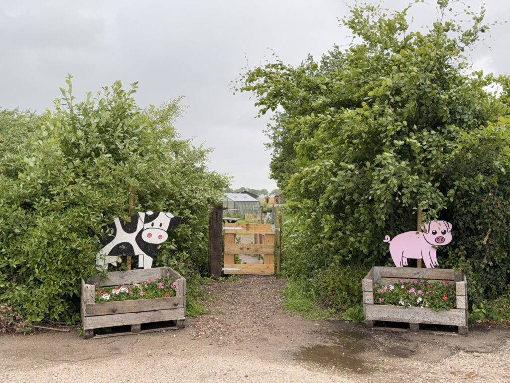 Dieren op de kinderboerderij van De Tuinen van Appelscha