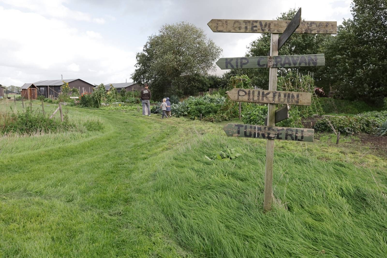 Houten wegwijzer met bordjes richting kip, pluktuin en tuinderij op een grasstrook tussen de bomen.